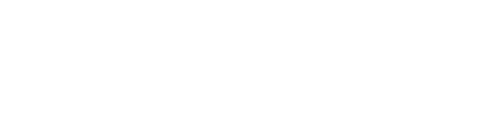 VDF Video Logo