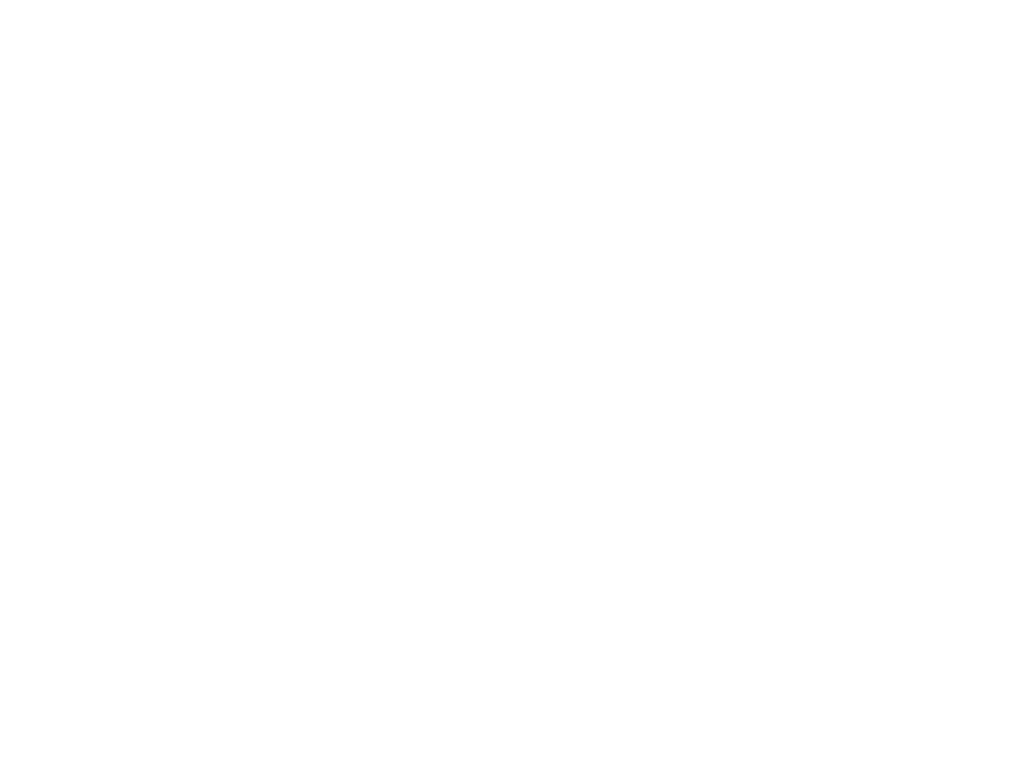 VDF Video Logo Footer
